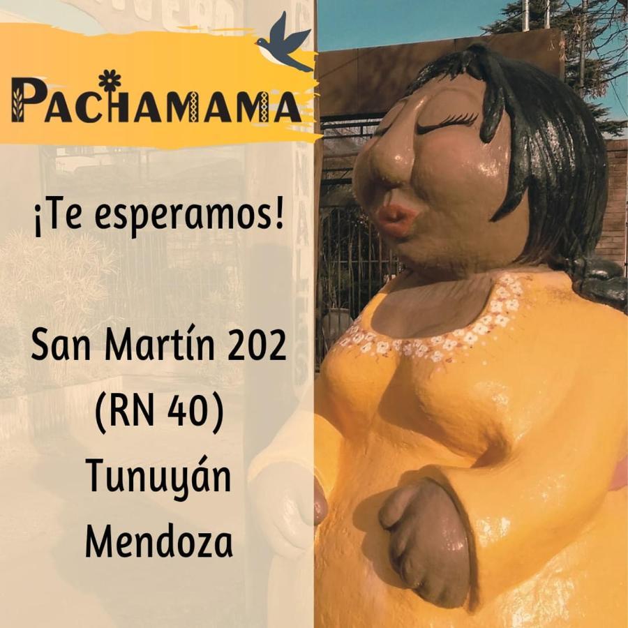 شقة Departamentos Pachamama Tunuyán المظهر الخارجي الصورة